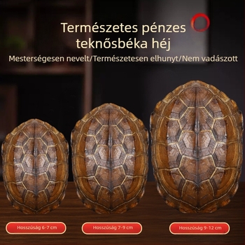 Qianlong réz pénz, hat hexagramma jósló eszköz, lógatható kézi medál, otthoni dekoráció, természetes teknőshéj