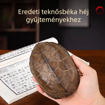 Qianlong réz pénz, hat hexagramma jósló eszköz, lógatható kézi medál, otthoni dekoráció, természetes teknőshéj