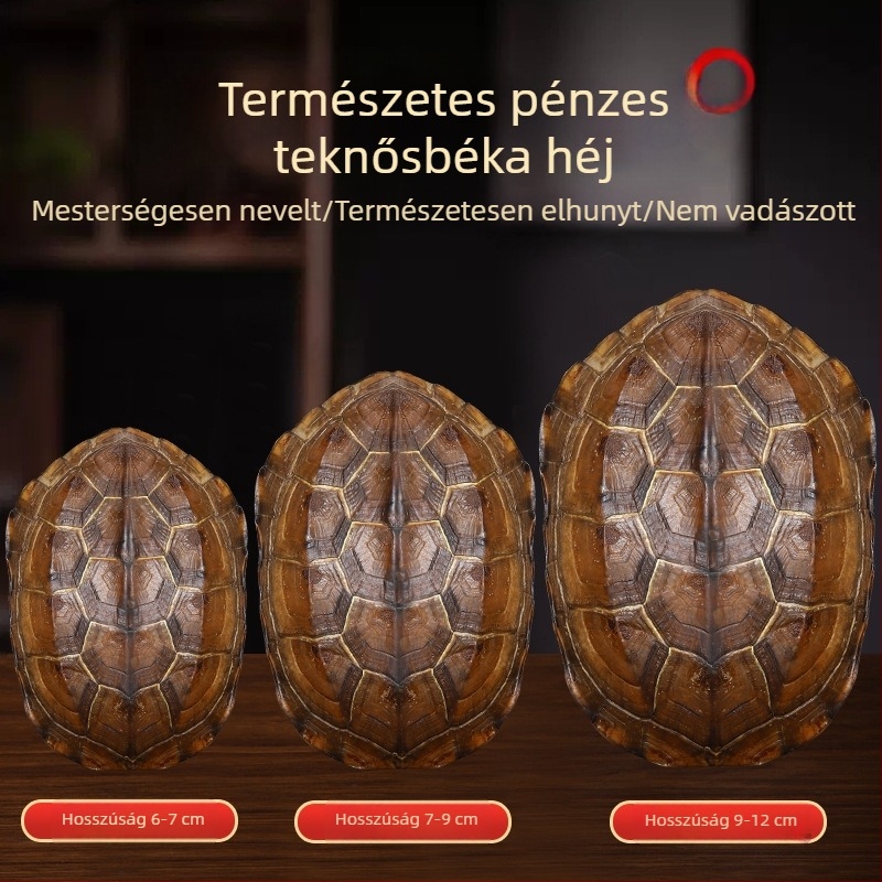 Qianlong réz pénz, hat hexagramma jósló eszköz, lógatható kézi medál, otthoni dekoráció, természetes teknőshéj