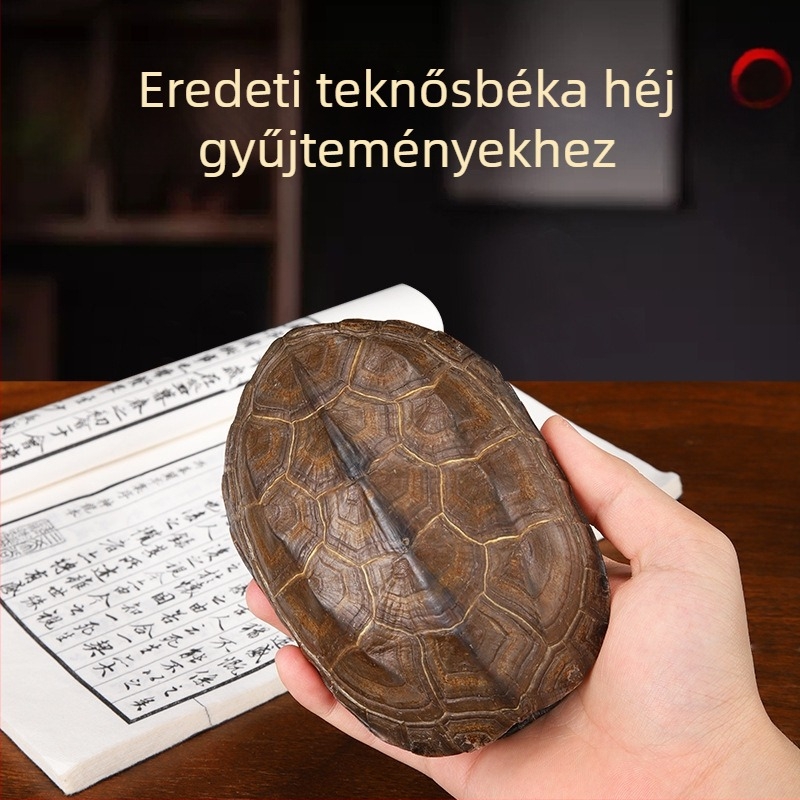 Qianlong réz pénz, hat hexagramma jósló eszköz, lógatható kézi medál, otthoni dekoráció, természetes teknőshéj