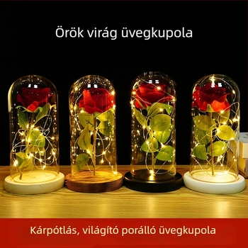 Megőrzött virág üvegkupolával rózsával — asztali dísz, ajándék