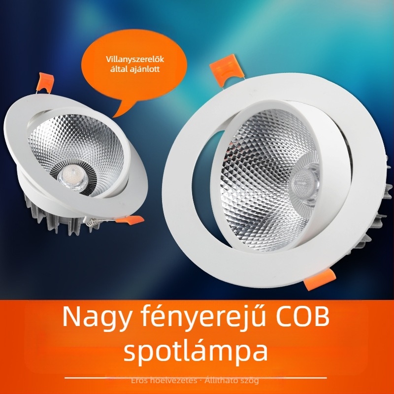 Beépített mennyezeti LED spotlámpa ruhabolt számára — COB Bullseye downlight a háttérfalhoz
