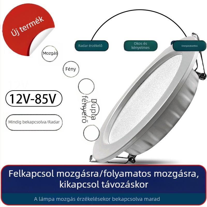 12–24–36 V LED alacsony feszültségű beépített mennyezeti downlight hangvezérléssel és mikrohullámú radar szenzorral