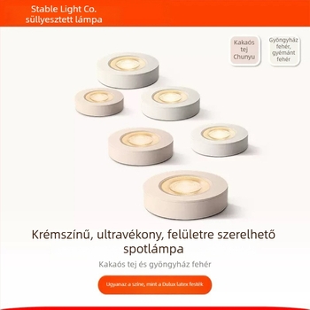 Szupervékony kör alakú felületre szerelt downlight nappali és étkezőhöz, COB LED, 3000K meleg fehér, 16–20W, intelligens vezérlés