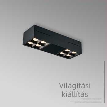LED felületre szerelt mennyezeti spot nappaliba, kettős fejű, állítható