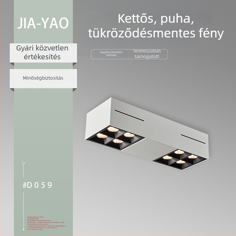 LED felületre szerelt mennyezeti spot nappaliba, kettős fejű, állítható