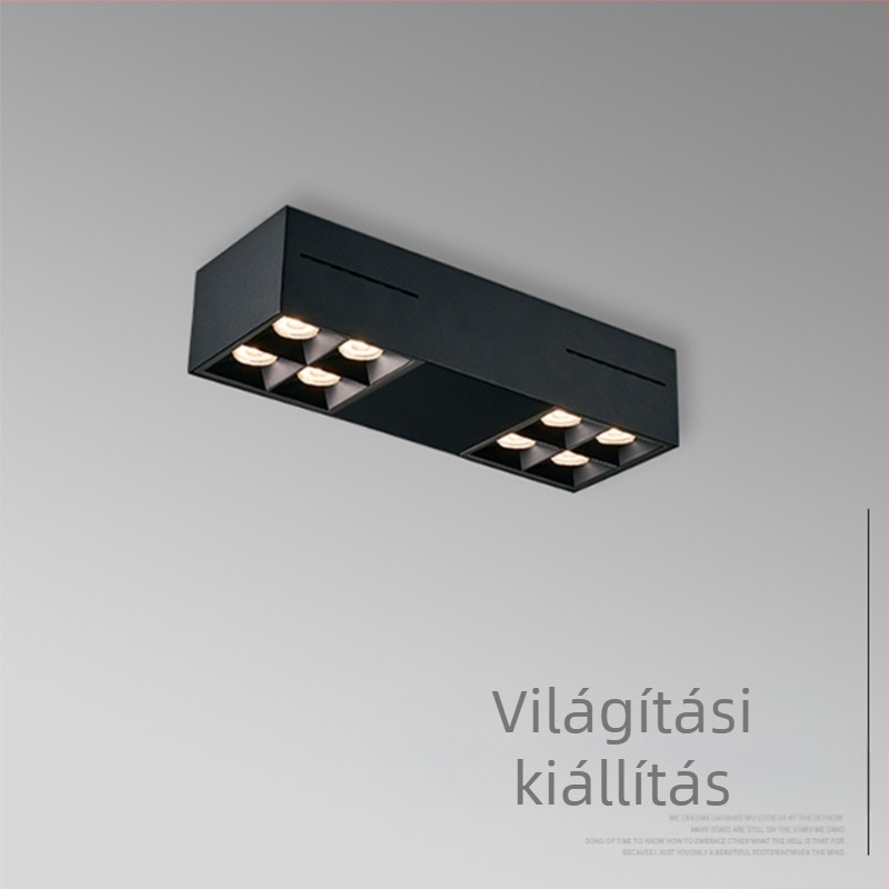 LED felületre szerelt mennyezeti spot nappaliba, kettős fejű, állítható