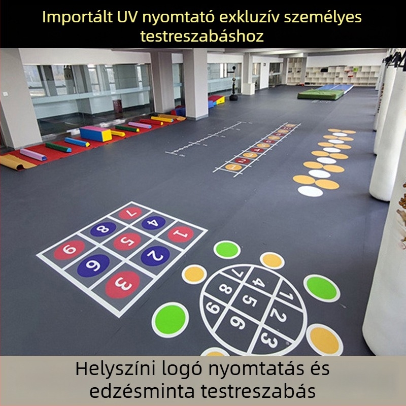 Személyre szabott Taekwondo talajtakarók harcművészetekhez és džúdóhoz | Magas sűrűségű habból készült gurítható matracok tánchoz és fitneszhez