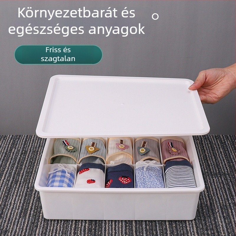 PP műanyag fehérnemű- és zokitároló doboz rekeszekkel melltartókhoz és alsóneműkhöz