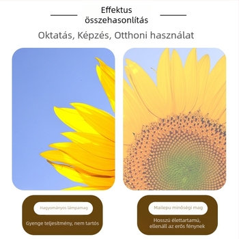 Projektorlámpa kompatibilis ELPLP88EB, 97HEB, 945HEB, 98HEB, S27EB, S29EB és U04