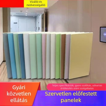Tűzálló A osztályú előkezelt tisztatéri panel, orvosi antibakteriális neorganikus laminált panel kalcium-szilikatból