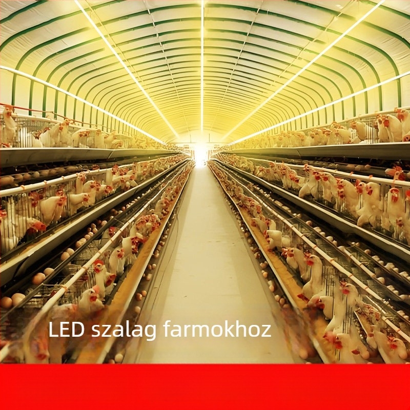 220V öntapadós lineáris LED-szalag, kültéri vízálló szilikonból, nagy fényerő, egyszínű, mennyezeti világítás