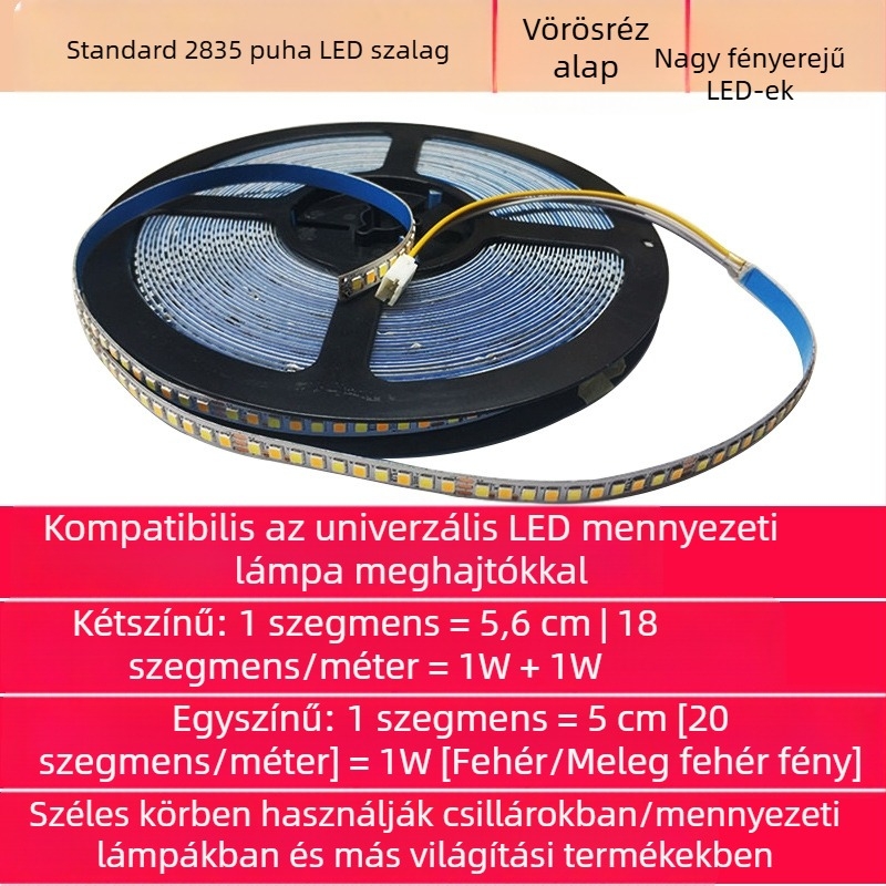 2835-ös LED szalag mennyezetre, nappali kör alakú világítás, posztmodern dizájn, rugalmas fénycsík, mono- és két színű világítás