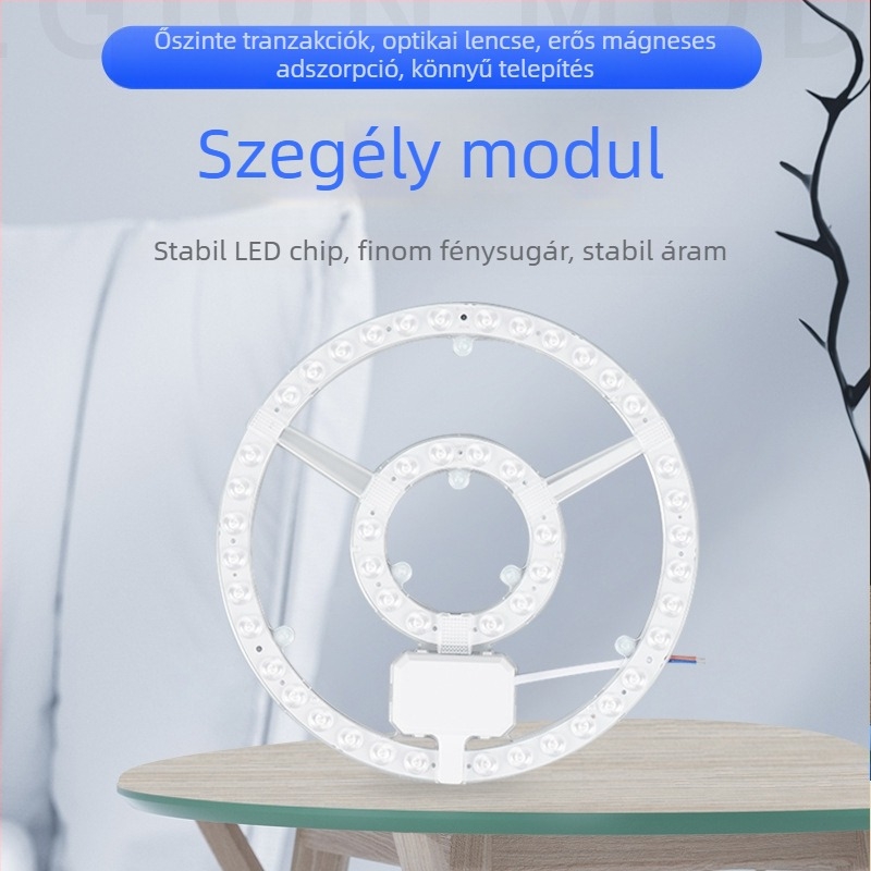 Egyedi LED mennyezeti panel kör alakú fényforrás modullal és gyűrű alakú csere fénycsíkkal otthoni használatra