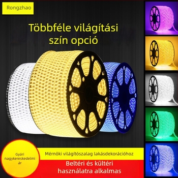 Vízálló LED-szalag 220V RGB, dupla soros, nappali világítás, lágy neonfény