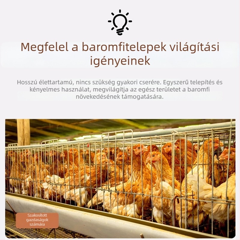 Baromfiudvarhoz tervezett sárga meleg fényű izzó, E27 alap, csirke növekedési lámpa
