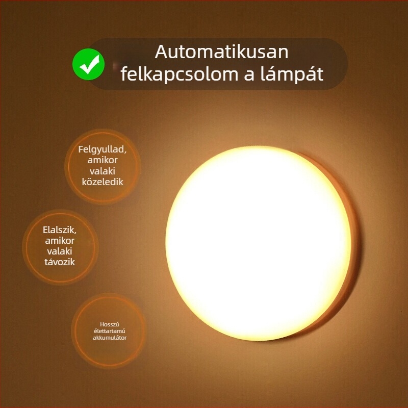 LED éjjeli lámpa mozgásérzékelővel, érintéses vezérléssel, USB táplálás, hang- és fényvezérlés ruhásszekrényhez és folyosóhoz