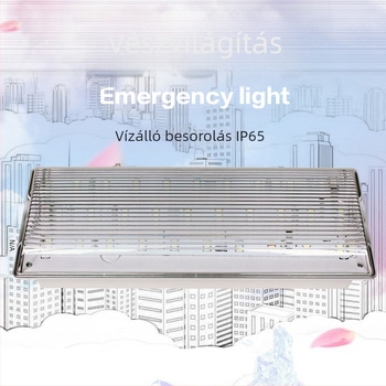 LED vészvilágítás tűzvédelmi kijelzővel, újratölthető, IP65, háromvédelmi védelem