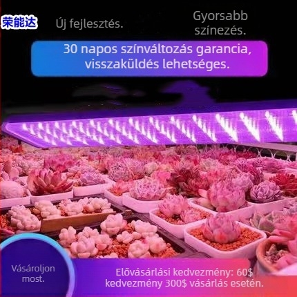 Teljes spektrumos T5/T8 növényvilágító cső, integrált beltéri növekedési lámpa virágok és pozsgás növények számára