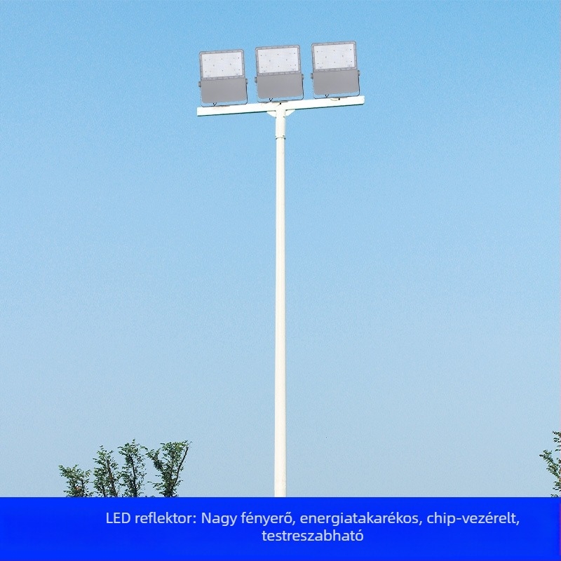 Fenghua LED reflektor öntött alumínium házzal, 100W-400W, meghajtó chip