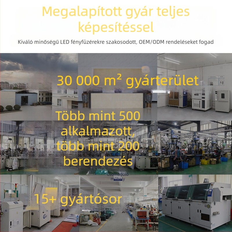 Nyolcfunkciós LED csillag‑hold függönyfény, karácsonyi dekoráció a szobához és a kertbe, testreszabható