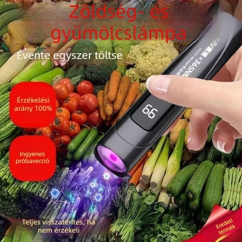 365 nm-es UV-lámpa bankjegyek vizsgálatához fluoreszcens anyaggal – hordozható LED lilás fény az UV-sugárzás és észlelés érdekében