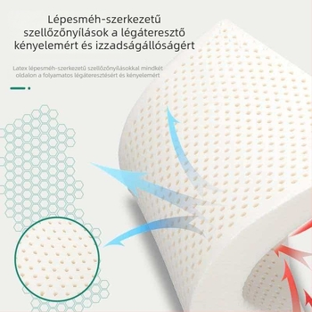 Latex téglalap alakú párna tömör maggal, ajándékdobozos kiszerelés, felnőtteknek; magasság 5–10 cm; tömeg 0,5–1,0 kg; mosott pamut huzat; szintetikus latex; minden szezonra alkalmas; bármilyen alvási pozícióhoz.