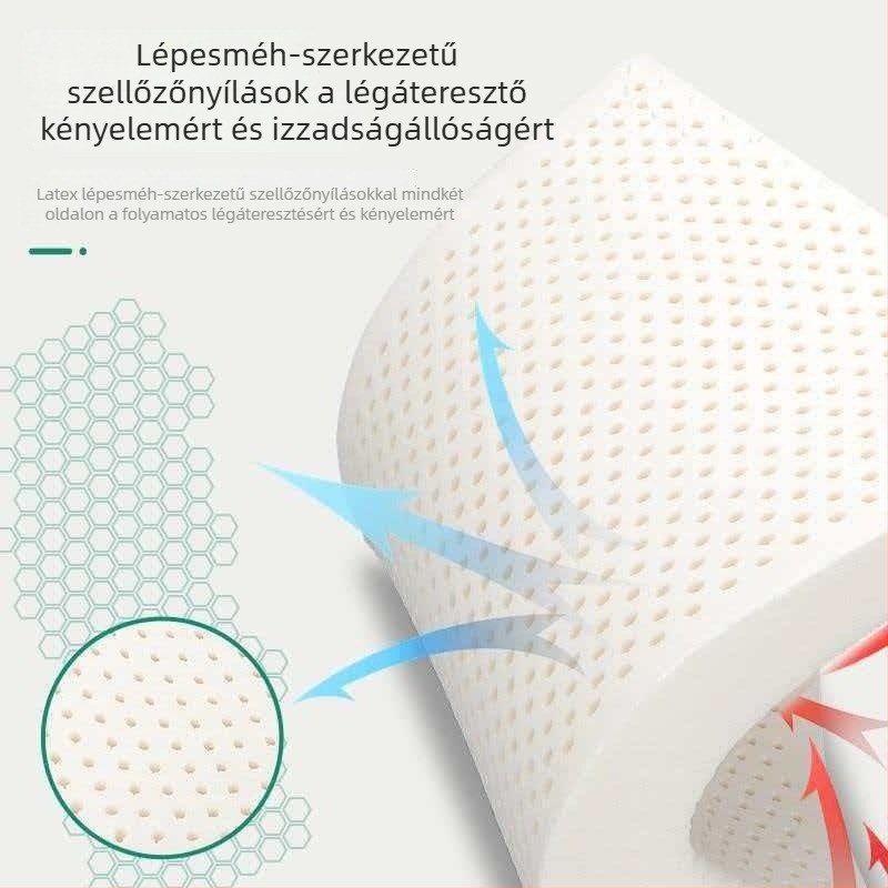 Latex téglalap alakú párna tömör maggal, ajándékdobozos kiszerelés, felnőtteknek; magasság 5–10 cm; tömeg 0,5–1,0 kg; mosott pamut huzat; szintetikus latex; minden szezonra alkalmas; bármilyen alvási pozícióhoz.