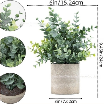 Élethű eukaliptusz bonsai - dekoratív növény nappalira és íróasztalra