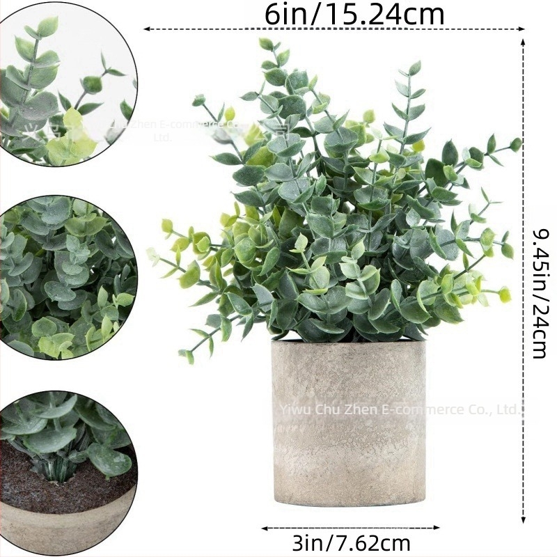 Élethű eukaliptusz bonsai - dekoratív növény nappalira és íróasztalra