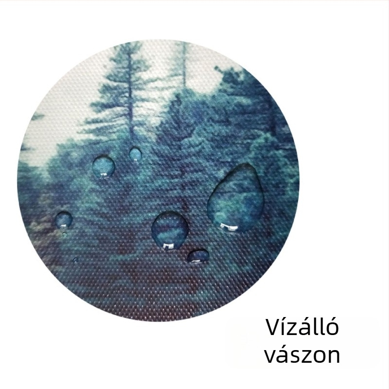 Vízálló vászon falikép előcsarnokba és nappaliba, TV-hátfal, egyedi dekoráció