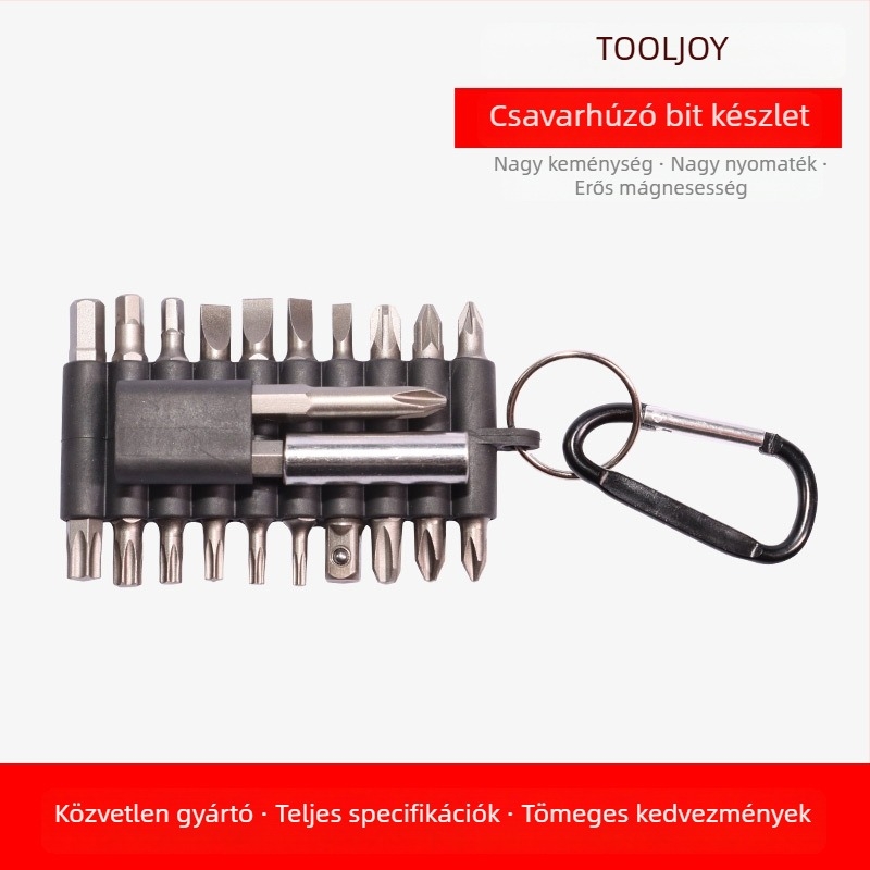 25 mm-es csavarbehajtó bitkészlet: Torx, Pozidriv és lapos fejű bitek, hordozható, többfunkciós