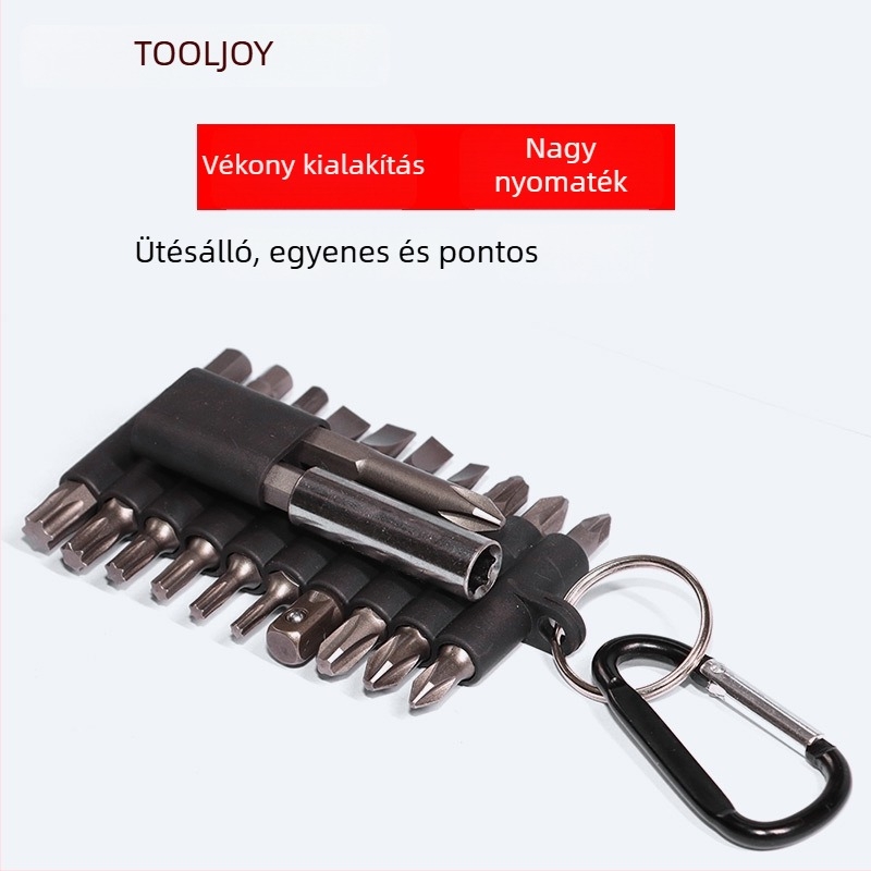 25 mm-es csavarbehajtó bitkészlet: Torx, Pozidriv és lapos fejű bitek, hordozható, többfunkciós