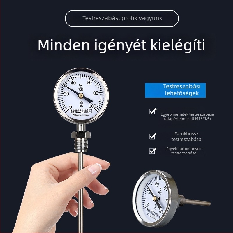 WSS-311/301 lángálló bimetál hőmérő kazáncsövekhez, axiális és radiális méréssel, Y60 mutató, 0–300°C