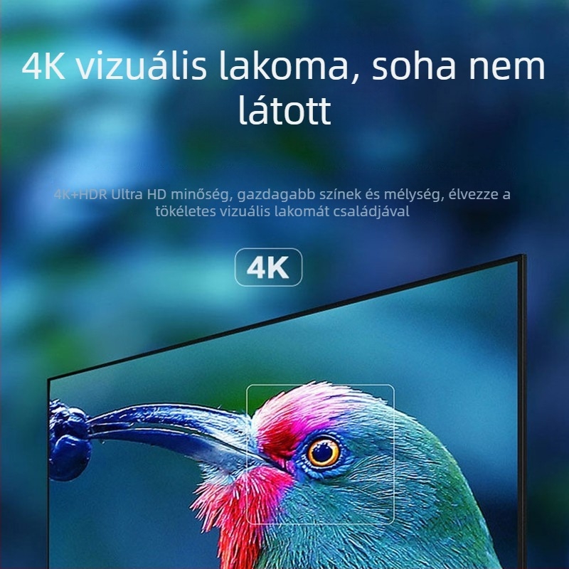 OGRG Vezeték nélküli Wi-Fi hálózati TV set-top box – okos otthoni élő TV