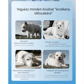 Kutyapelenkák hím- és nőstény kutyáknak, edzőnadrág, vizelés elleni nadrág, kutya menstruációs nadrág
