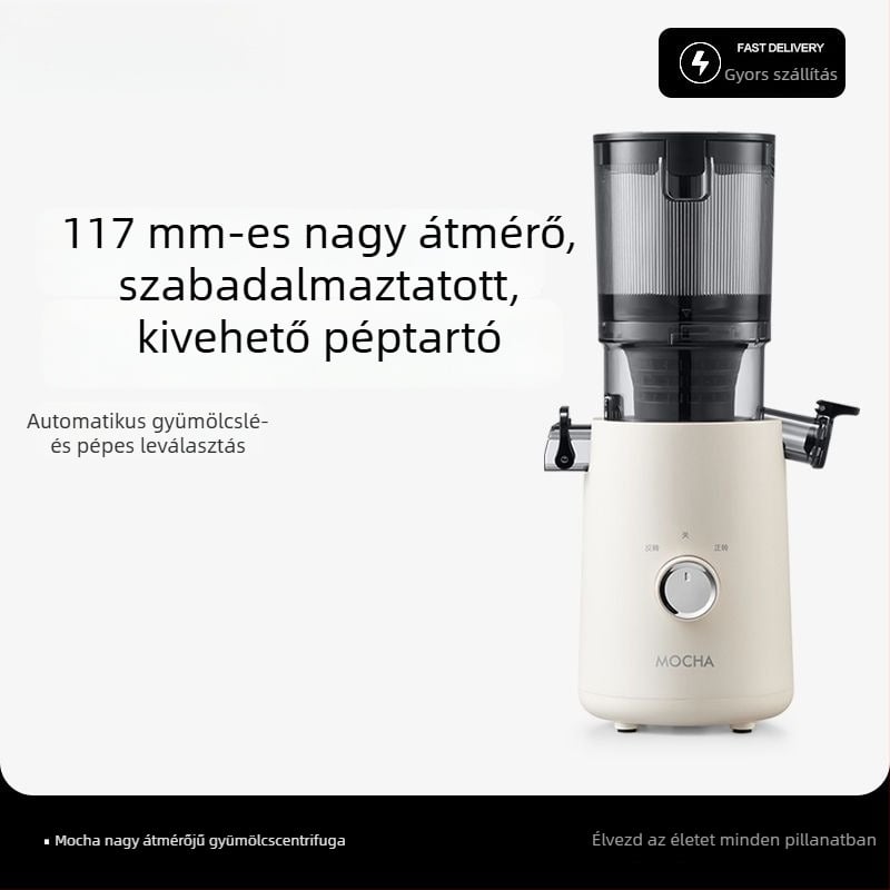 Otthoni használatra tervezett pulpaszeparáló gyümölcs- és zöldséglé készítő, teljesen automata