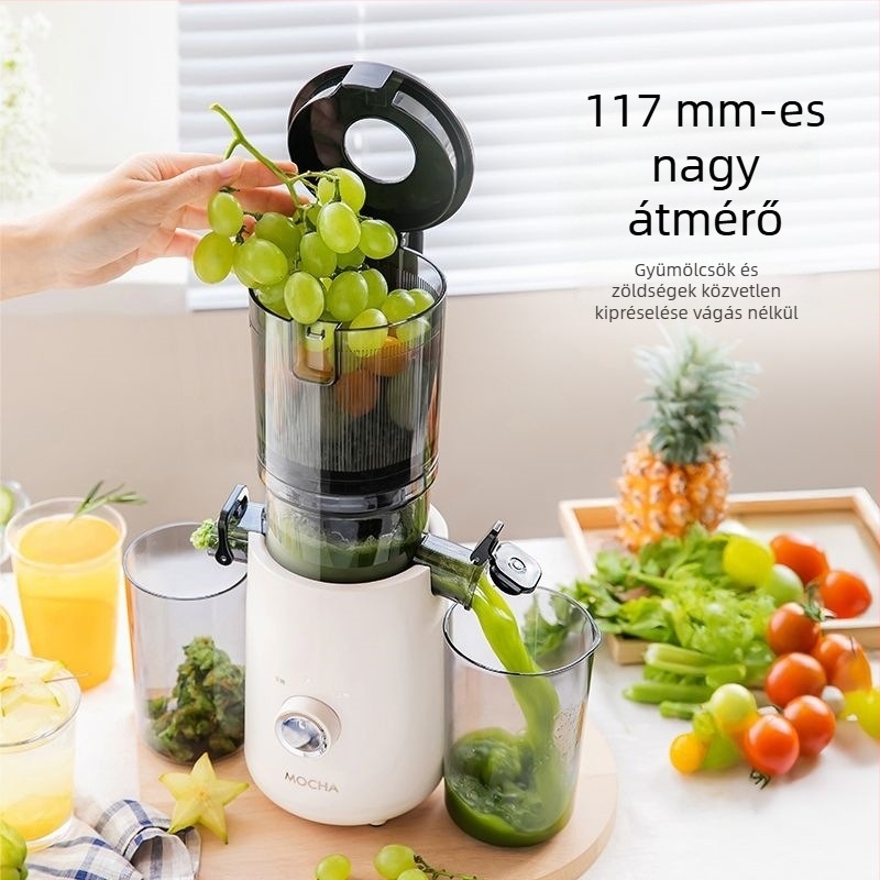 Otthoni használatra tervezett pulpaszeparáló gyümölcs- és zöldséglé készítő, teljesen automata