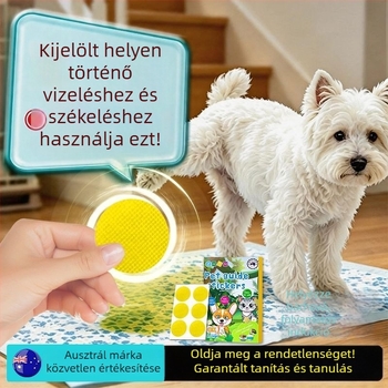 Kutyák toalett-edzéséhez szolgáló segédeszköz – Bichon Frisé számára kijelölt helyen ösztönzi a székletürítést és a vizelést, megakadályozza a rendetlenséget