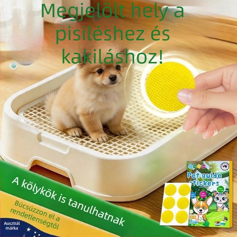 Kutyák toalett-edzéséhez szolgáló segédeszköz – Bichon Frisé számára kijelölt helyen ösztönzi a székletürítést és a vizelést, megakadályozza a rendetlenséget