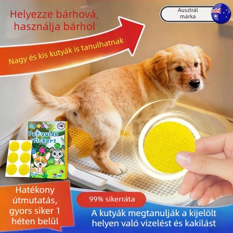 Kutyák toalett-edzéséhez szolgáló segédeszköz – Bichon Frisé számára kijelölt helyen ösztönzi a székletürítést és a vizelést, megakadályozza a rendetlenséget
