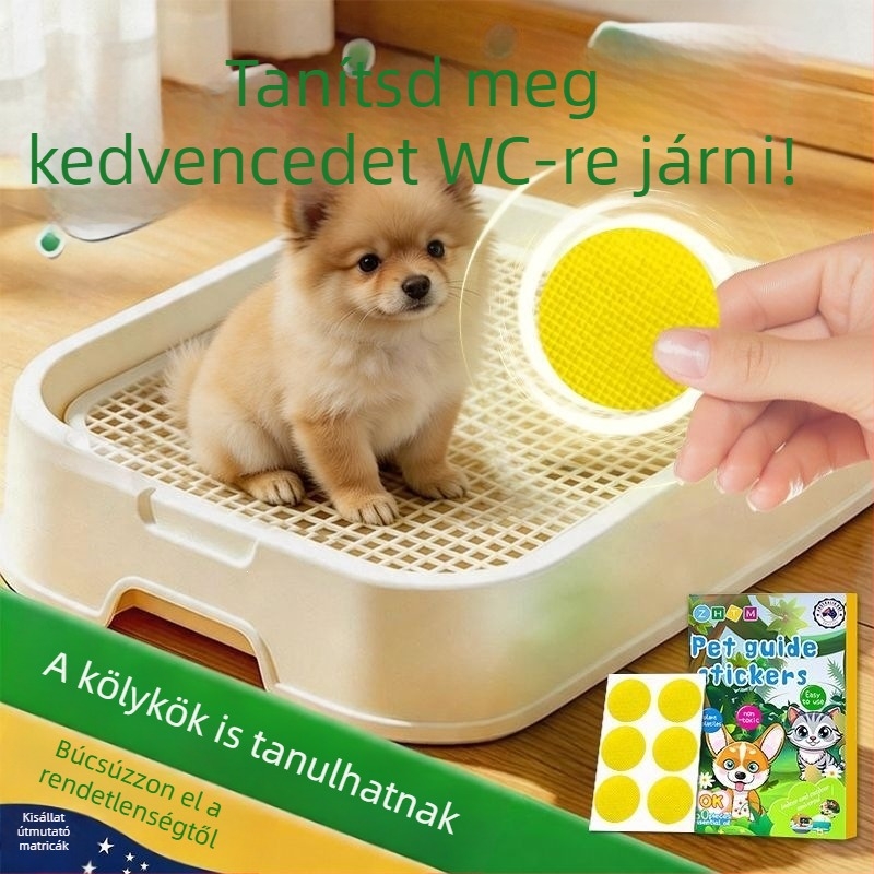 Kutyák toalett-edzéséhez szolgáló segédeszköz – Bichon Frisé számára kijelölt helyen ösztönzi a székletürítést és a vizelést, megakadályozza a rendetlenséget
