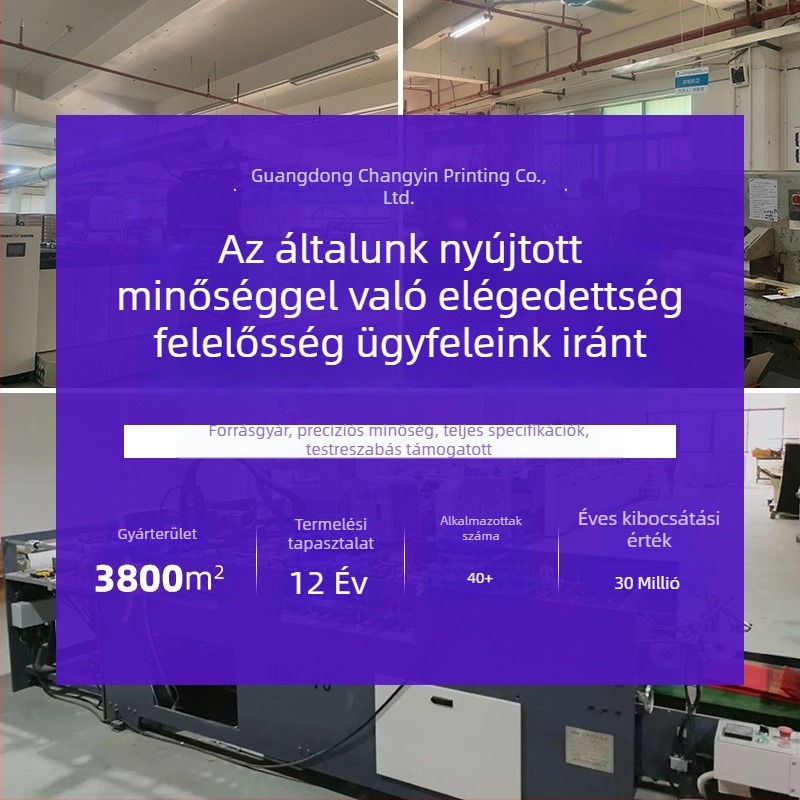 Testreszabható papír mappák, archív mappák és oldalas mappák nyomtatott borítóval — mintadarab mappa