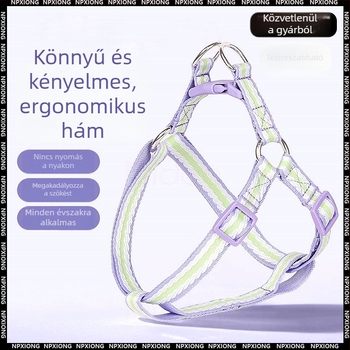 H-formájú hám és póráz kis testű kutyák számára, kültéri sétákhoz; kompatibilis Pomerániai, Bichon Frisé és Toy Poodle kölyökkutyákkal