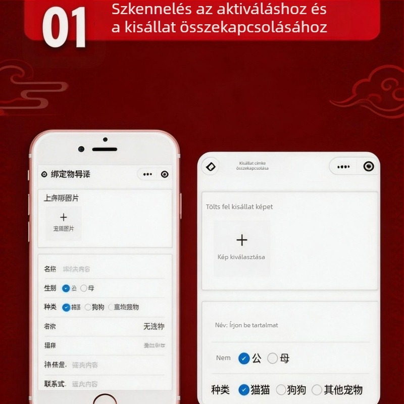 Kutya- és macska azonosító címke, helymeghatározó nyakörv pillangó mintával, rozsdamentes acélból, hercegnő-stílus, Anti-Scan