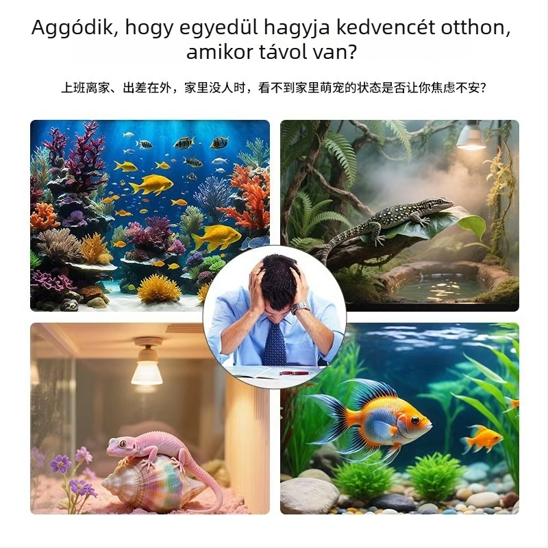 Beltéri megfigyelő kamera
