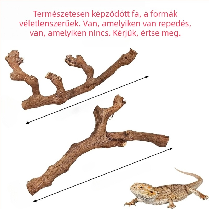 Természetes fából készült hörcsögjáték madárral és karmok élező állvánnyal, ágakkal, dekoráció hörcsögnek és chinchillának