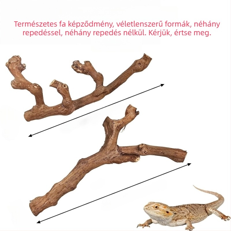 Természetes fából készült hörcsögjáték madárral és karmok élező állvánnyal, ágakkal, dekoráció hörcsögnek és chinchillának