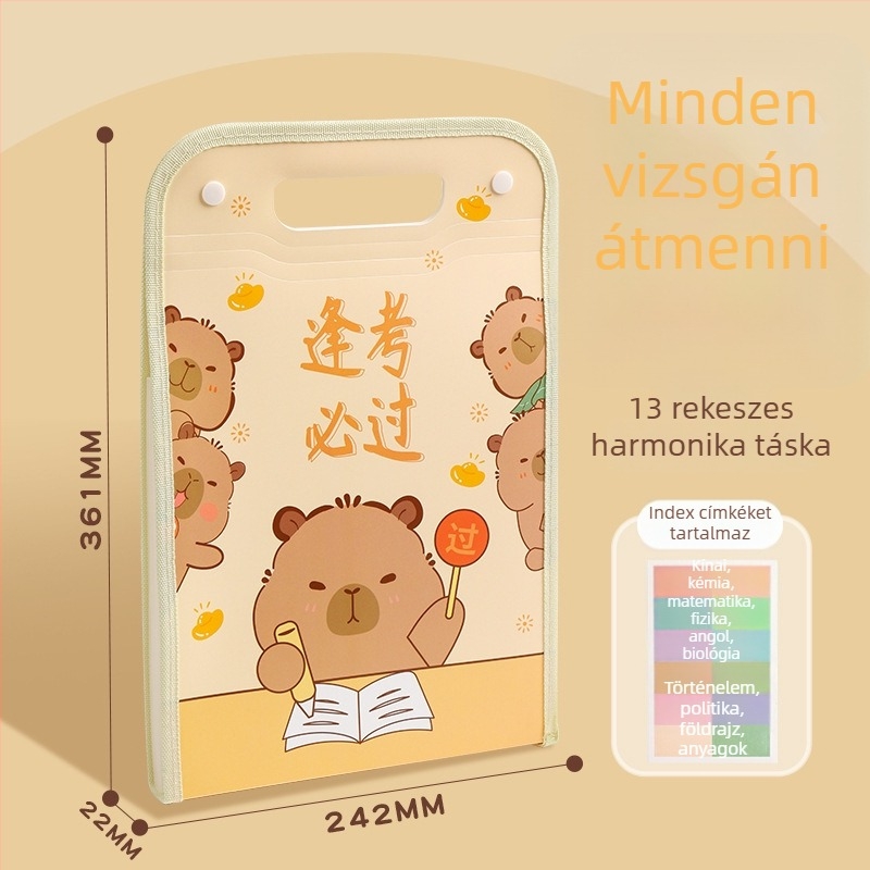 Kedves medve formájú, hordozható A4-es iratmappa és akordeon-stílusú rendszerező több tantárgyhoz