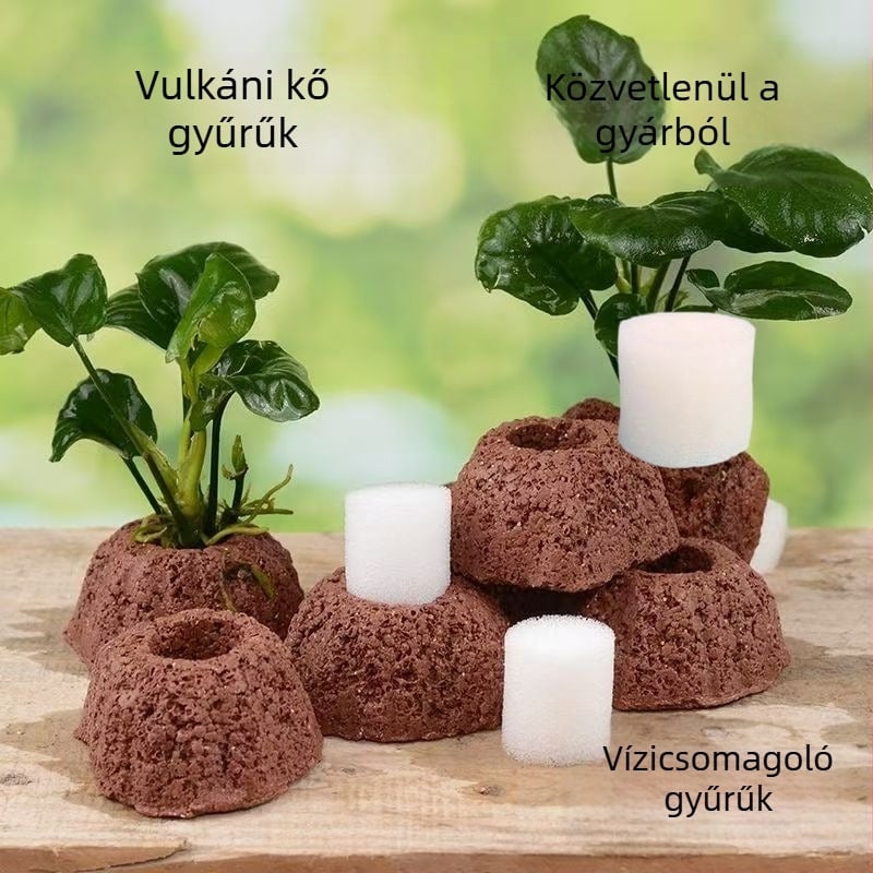 Vulkanikus kő gyűrű víz növényekhez – átszúrt ültetőgyűrű rögzített alappal és süllyedő gyűrű akváriumi dekorációhoz
